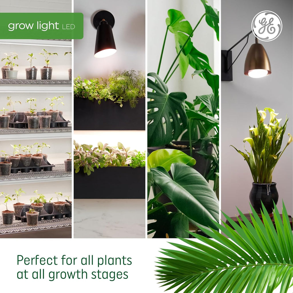 Grow LED Light Bulb for Plants Seeds and Greens with Balanced Light Spectrum, PAR38 Floodlight (1 Pack)